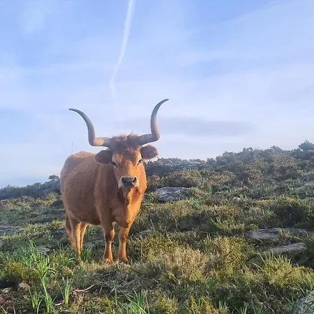 Casa Beira Rio בית נופש *