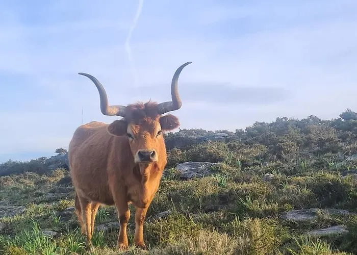 Casa Beira Rio Дом отдыха *