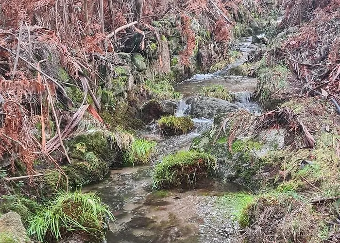 펜션 Casa Beira Rio